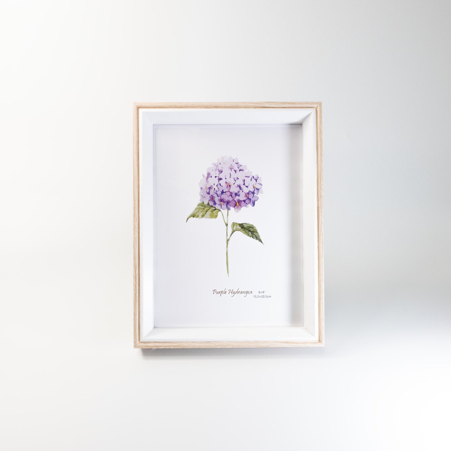 Timeless Ivory Frame